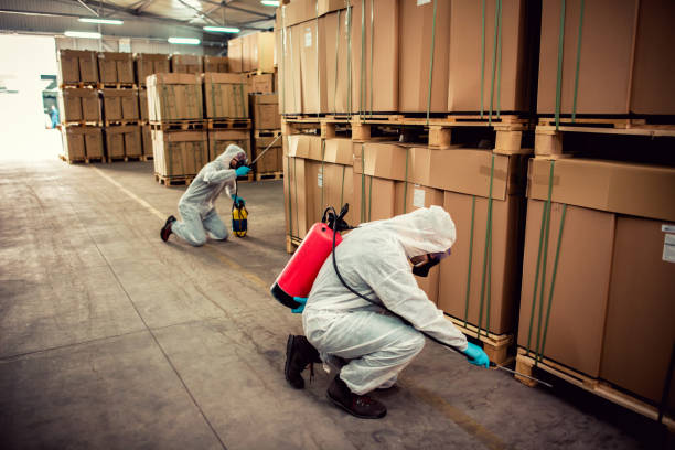 Best Exterminator Services  in Delphos, OH