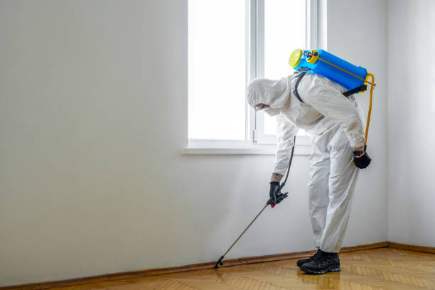 Pest Prevention Services in Delphos, OH
