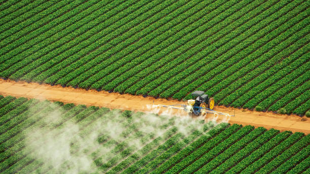 Best Pest Control Treatment  in Delphos, OH