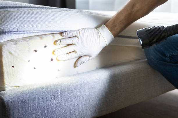 Best Pest Control for Homes  in Delphos, OH