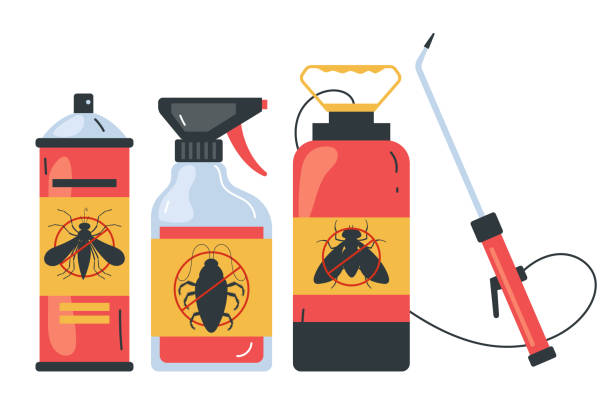 Best Termite Control Services  in Delphos, OH