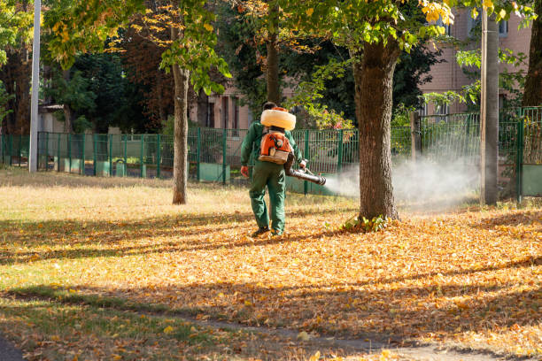 Trusted Delphos, OH Pest Control Experts