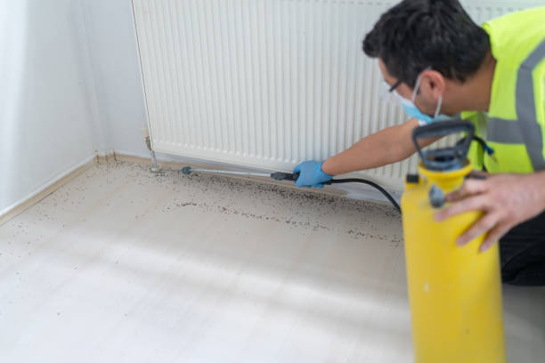Best Pest Removal Services  in Delphos, OH