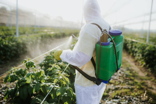 Best Wildlife Control Services  in Delphos, OH
